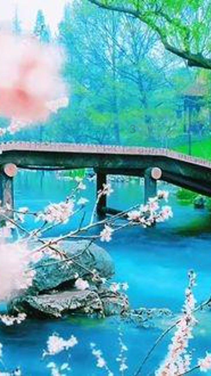 春雨直播app